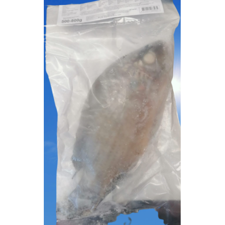 Tilapia schwarz ganz